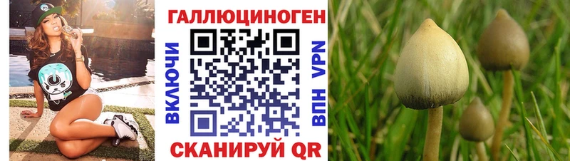 Купить где  Майский  Галлюциногенные грибы GOLDEN TEACHER 