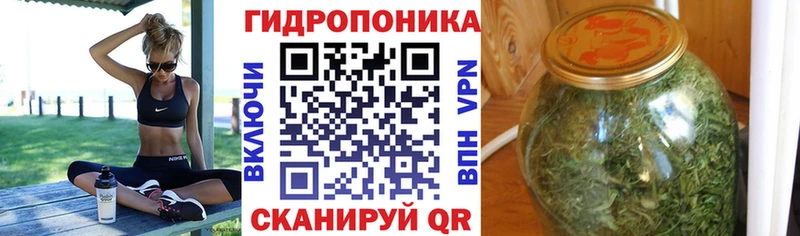 Шишки марихуана VHQ  Купить где  Майский 